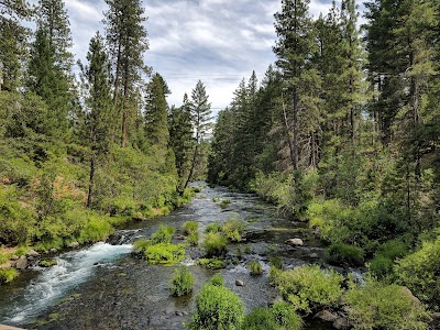 Shasta-Trinity National Forest