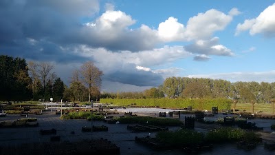 Photos of Heutinck Vaste Plantenkwekerij P P M