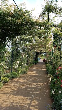 つくばローズガーデン（藤澤邸）