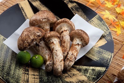 世羅の大地国産松茸販売センター