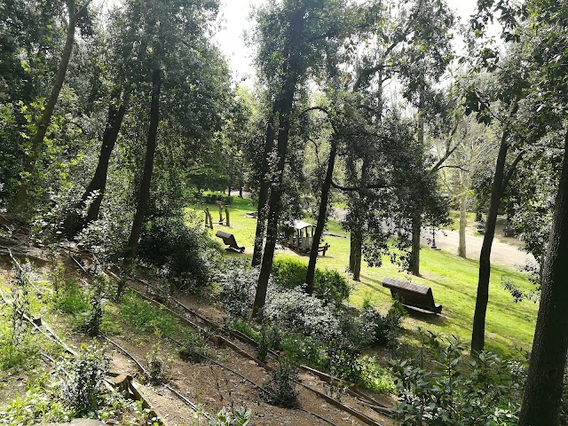 Limonaia Villa Strozzi