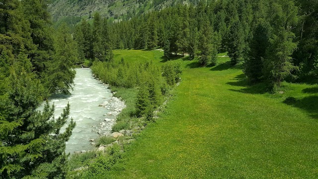 Bernina Express