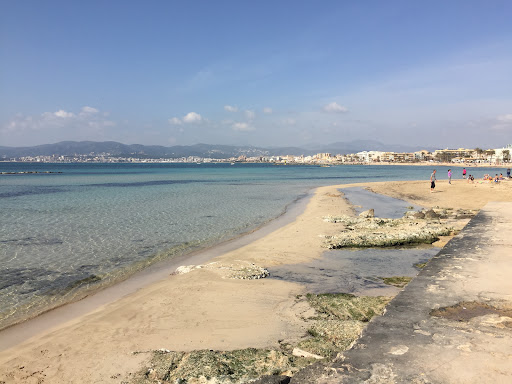 Bootcamp Mallorca - Thumbnail