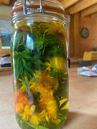 Photo n°4 de Oriane Orlandini Naturopathe à Le Poizat-Lalleyriat (Centre de bien-être)