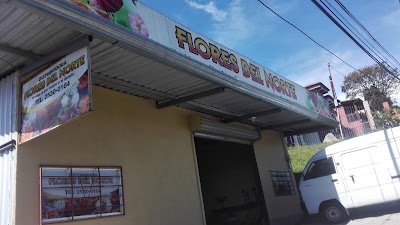 Photos of Flores Del Norte