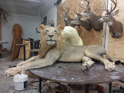 Wildlife-Action Taxidermy and Deer Processing - Thumbnail