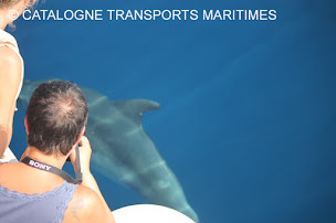 Photo n°8 de CTM Croisières Port Vendres à Port-Vendres (Agence d'excursions en bateau)