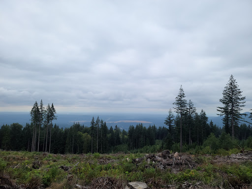 Tiger Mountain Trailhead - Thumbnail