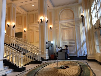 car-rental