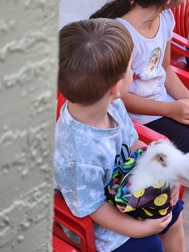 Cock-A-Doodle-Doo Petting Zoo - Thumbnail