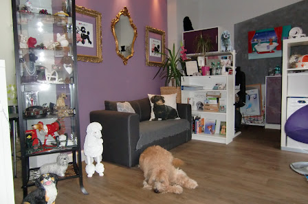 Bild: Katzenpflege und Hundesalon Pico-Bello Vom Inhaber