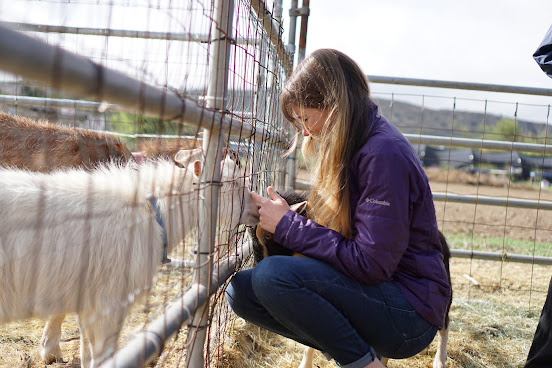 Wild Willow Farm & Education Center by null
