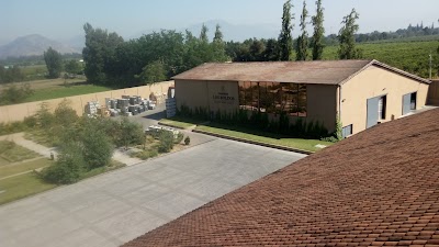 Photos of VI&Ntilde;A LOS BOLDOS