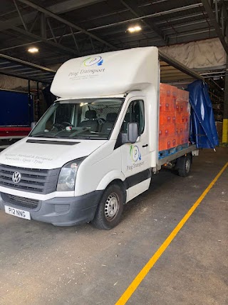 Ping Transport