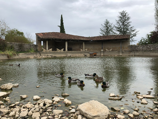 Ancien lavoir de Limognes