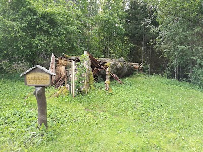 Photos of Traini&scaron;kio pirkia