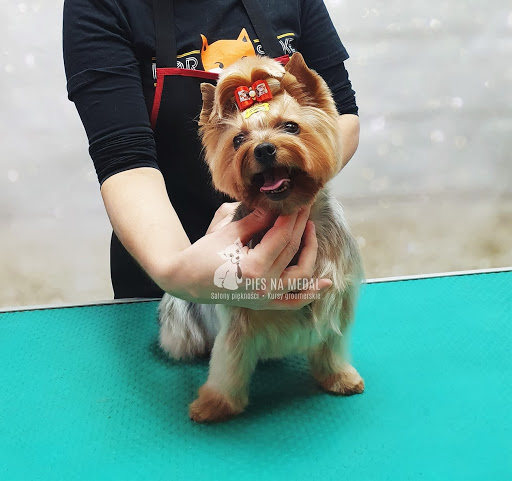 Sassy Fur Mobile Pet Spa