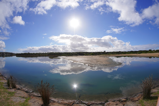 Angel Sea Garden Gallery - Australia