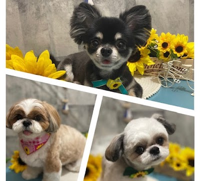 ハッピーワン 大阪本店