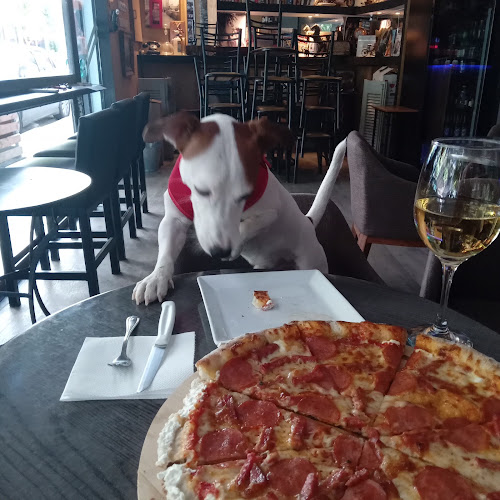 Comentarii opinii despre PIZZA NAPOLETANA