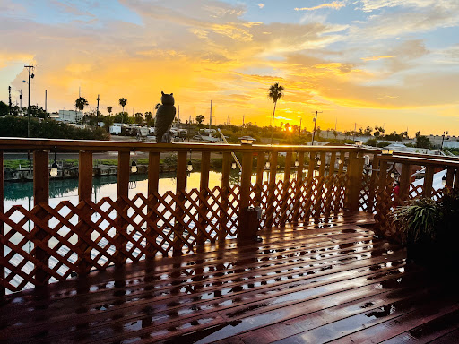 Renis Palapa II Gallery - United States