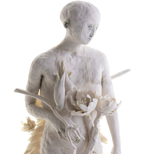 Anima Mundi
