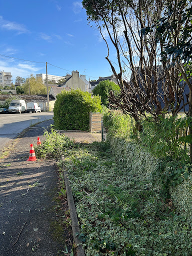 Kerne Élagage - Thumbnail