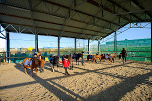 Photo n°21 de UCPA SPORT LOISIRS CARRE DE SOIE à Vaulx-en-Velin (Centre équestre)