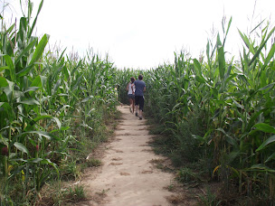 Photo n°27 de Labyrinthe de Honfleur à Équemauville (Attraction touristique)