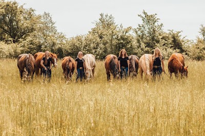 Wofford Ranch