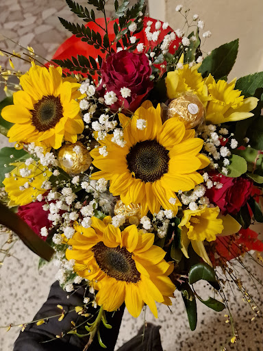 Decorflora - Visual