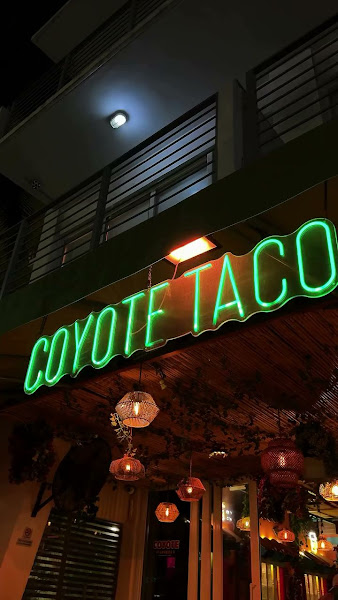 Coyote Taqueria — photo