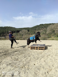 Photo n°22 de Centre équestre le Raziguet à Verdun-en-Lauragais (Centre équestre)
