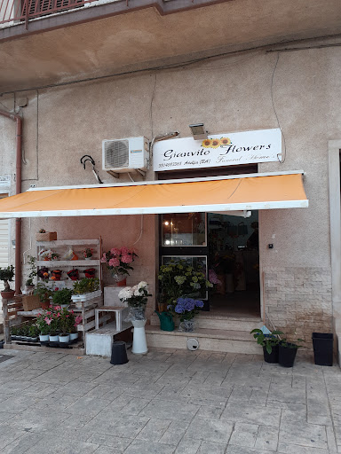 Gianvito Flowers - Visual