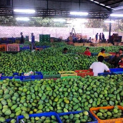 Photos of Gudang Mangga Pak Mardi