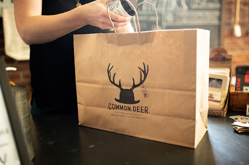Common Deer - Visual