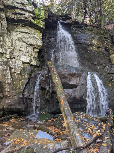 A Walk in the Woods Smoky Mountains hiking and backpacking tours