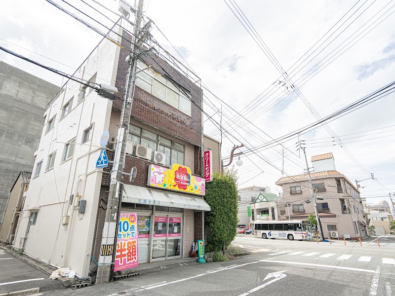 ヤングドライ 寺島西店