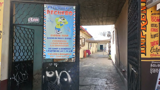 Peluqueria peguero