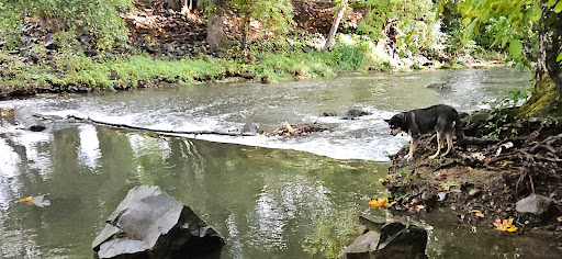 Creek Trail - Thumbnail