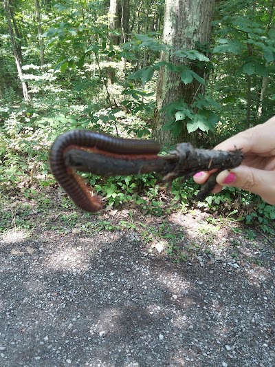 Raccoon Creek State Park Campground