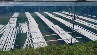 Photos of Mutiara Sari Restaurant