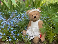 株式会社ストリーム