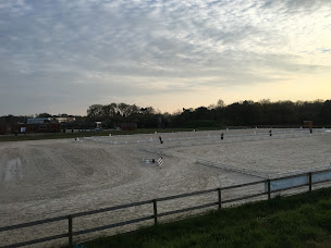 Photo n°25 de Planète Équitation - Stade Equestre de l’Anjou à Verrières-en-Anjou (Éleveur)