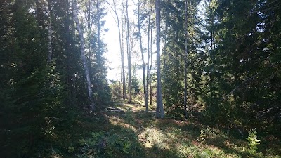 Photos of Olkiluoto