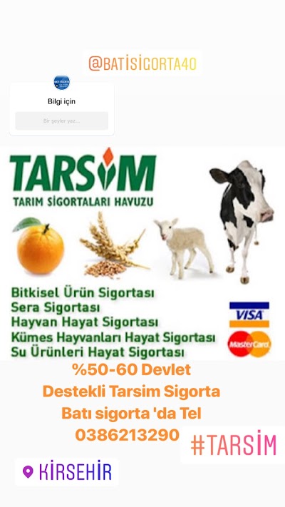 Batı Sigorta Acentelik