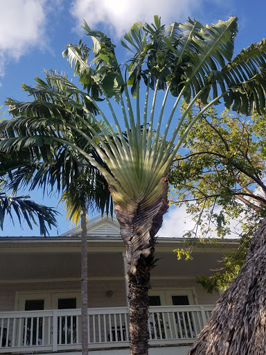 Coral Hammock Resort Villas - Thumbnail