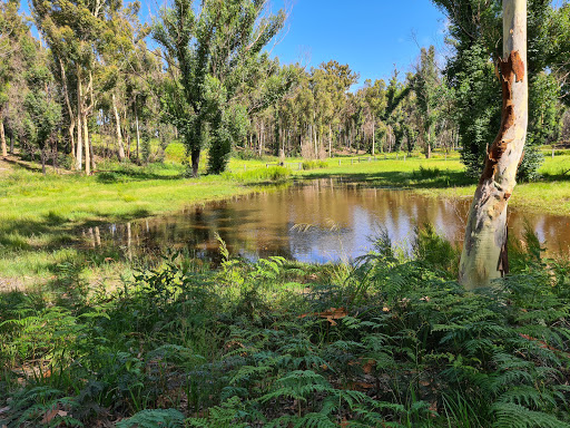 Illawong Nature Reserve