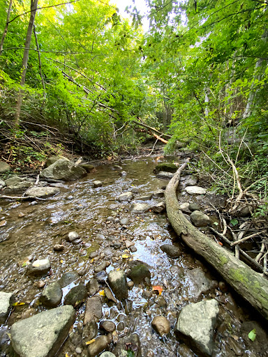 Dorchester Conservation Area - Thumbnail