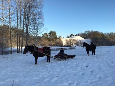 Photos of Augēnijas zirgu izjādes Tērvetē